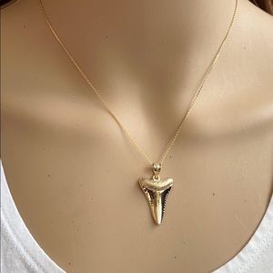 14k Solid Yellow Gold Shark Tooth Pendant Necklace